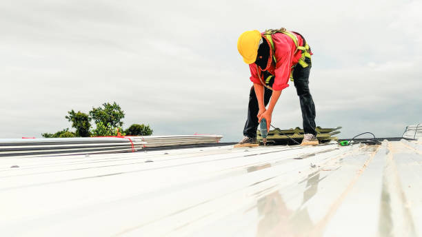 Skylights in Pleasureville, PA